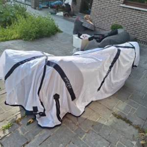 Vliegendeken paard