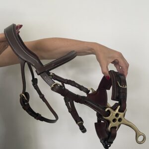 Hackamore + hoofdstel