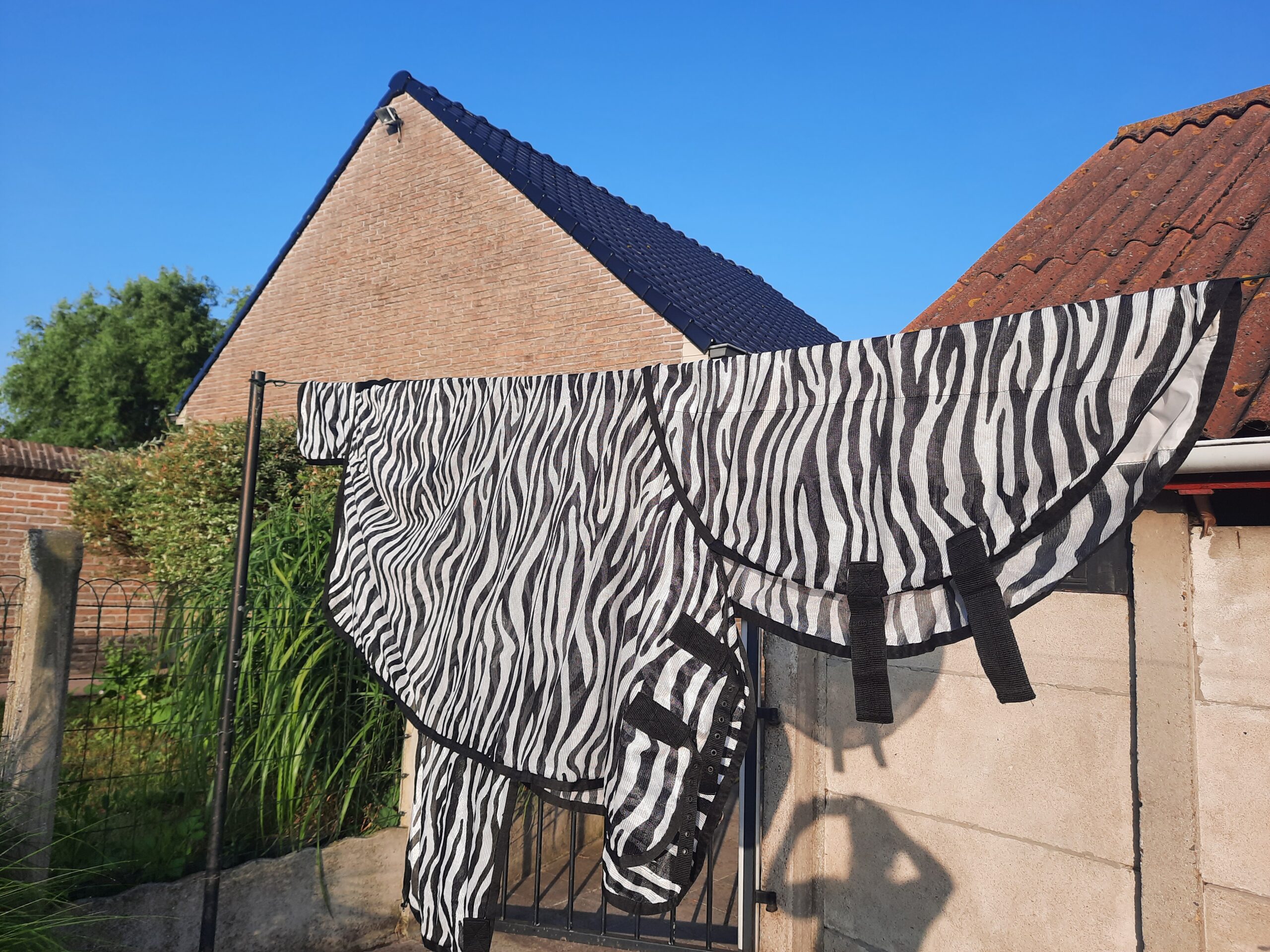 Zebra vliegendeken pony 160cm - Afbeelding 3